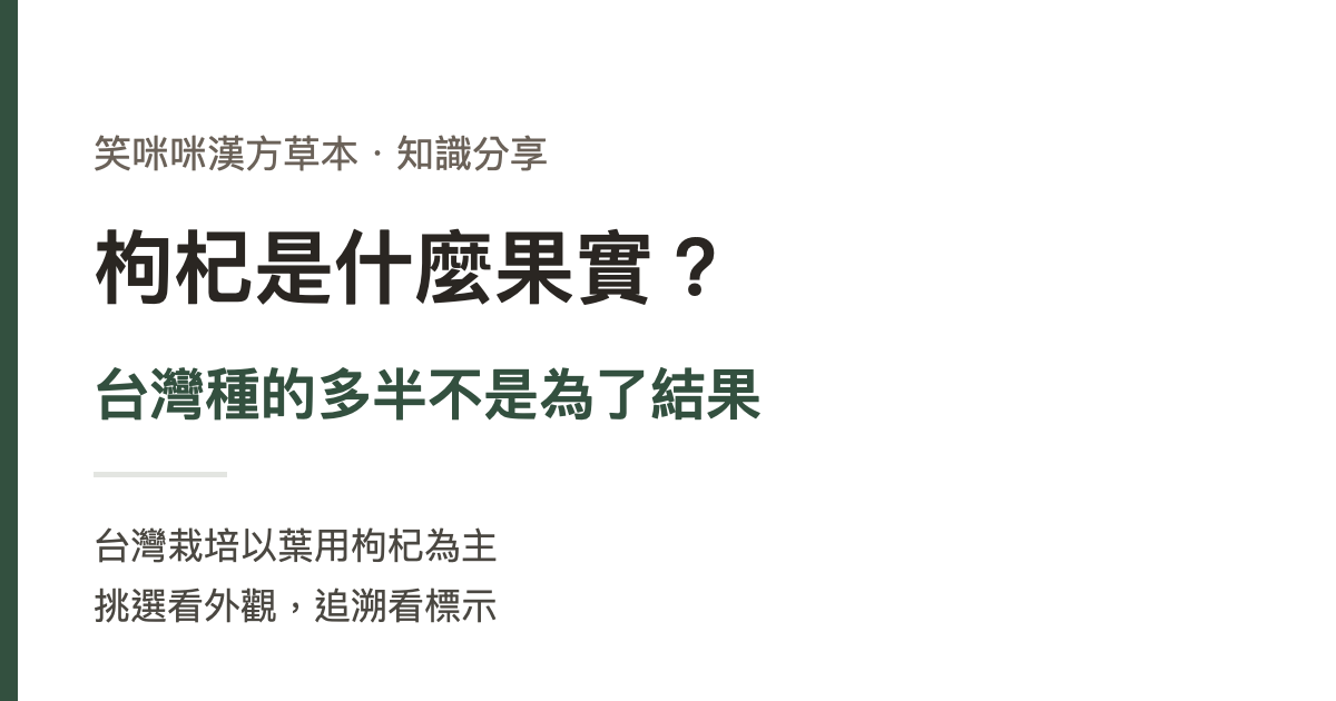 枸杞是什麼果實？台灣種的多半不是為了結果