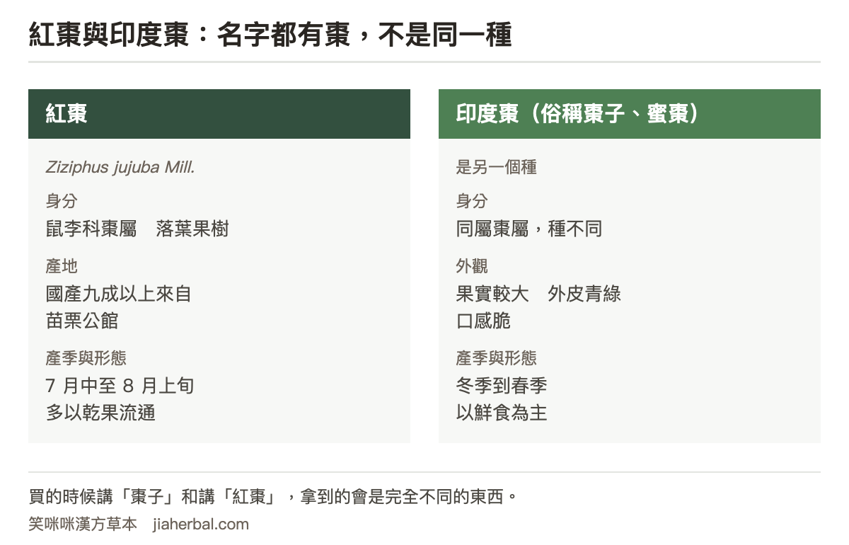 紅棗與印度棗對照表：紅棗學名 Ziziphus jujuba，為鼠李科棗屬落葉果樹，國產超過九成來自苗栗公館，產季為七月中旬到八月上旬，市面上多以日曬或機械烘乾的乾果形式流通，風味為厚實的甜與果香；印度棗俗稱棗子或蜜棗，是另一個種，果實較大、外皮青綠、口感脆，以鮮食為主，產季在冬季到春季。表格下方說明兩者名字都有棗但不是同一種東西，用途與形態完全不同