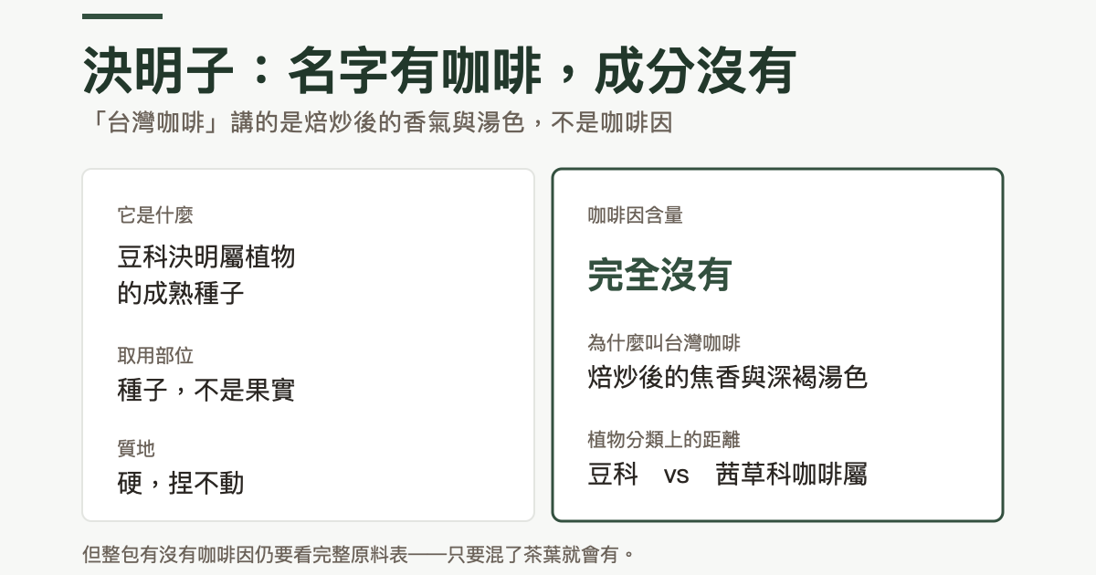 決明子的身分對照：它是豆科決明屬植物的成熟種子，取用部位是種子不是果實，質地硬；咖啡因含量完全沒有，被叫台灣咖啡是因為焙炒後的焦香與深褐湯色，植物分類上豆科與茜草科咖啡屬相距甚遠