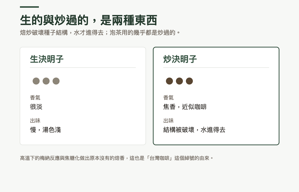 生決明子與炒決明子的對照：生決明子香氣很淡、出味慢且湯色淺；炒決明子香氣呈焦香近似咖啡，結構被破壞後水才進得去