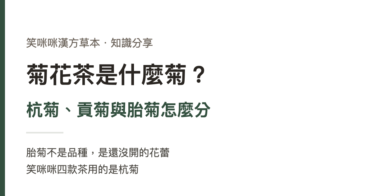 菊花茶是什麼菊？杭菊、貢菊與胎菊怎麼分