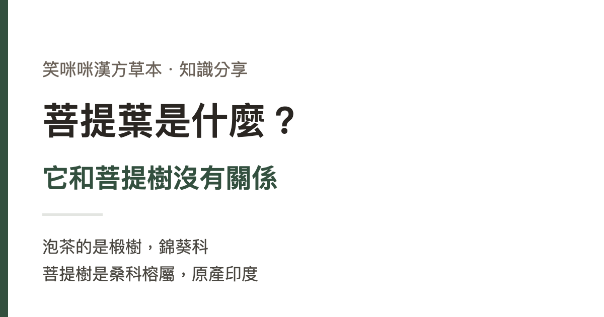 菩提葉是什麼？它和菩提樹沒有關係