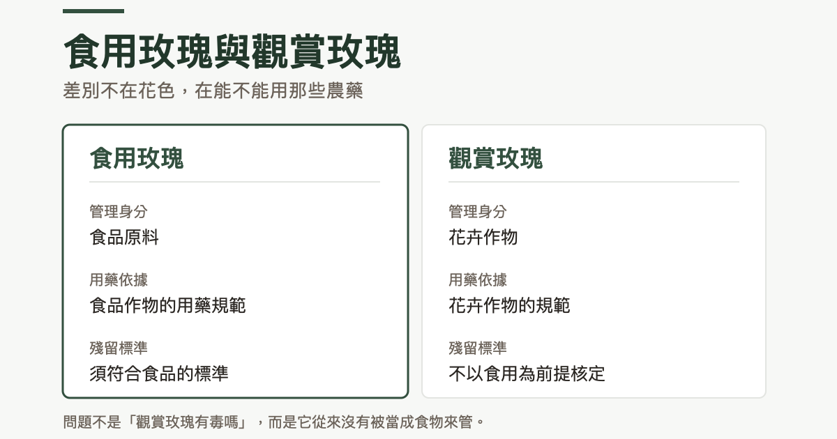 食用玫瑰與觀賞玫瑰的管理對照：食用玫瑰的管理身分是食品原料，依食品作物的用藥規範栽培，殘留須符合食品的標準；觀賞玫瑰的管理身分是花卉作物，依花卉作物的規範用藥，殘留標準不以食用為前提核定