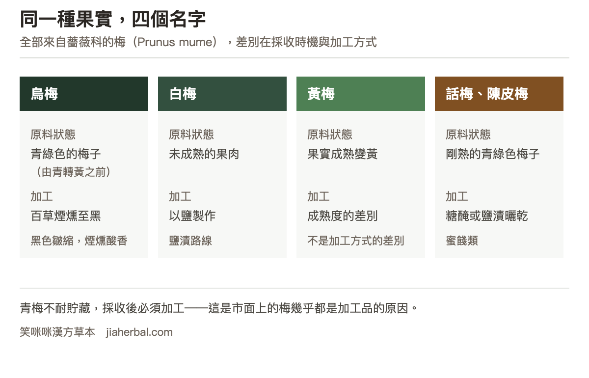 梅子加工四種形態對照表：烏梅為青綠轉黃之前的青綠色梅子經百草煙燻至黑色，外觀黑色皺縮，風味為煙燻感的厚實酸香；白梅為未成熟的果肉鹽製而成，以鹽漬為主；黃梅為果實成熟變黃者，是成熟度的差別不是加工；話梅與陳皮梅為剛熟的青綠色梅子經糖醃或鹽漬曬乾製成，屬於蜜餞類。表格下方說明四者都來自同一種果實薔薇科的梅，差別在採收時機與加工方式