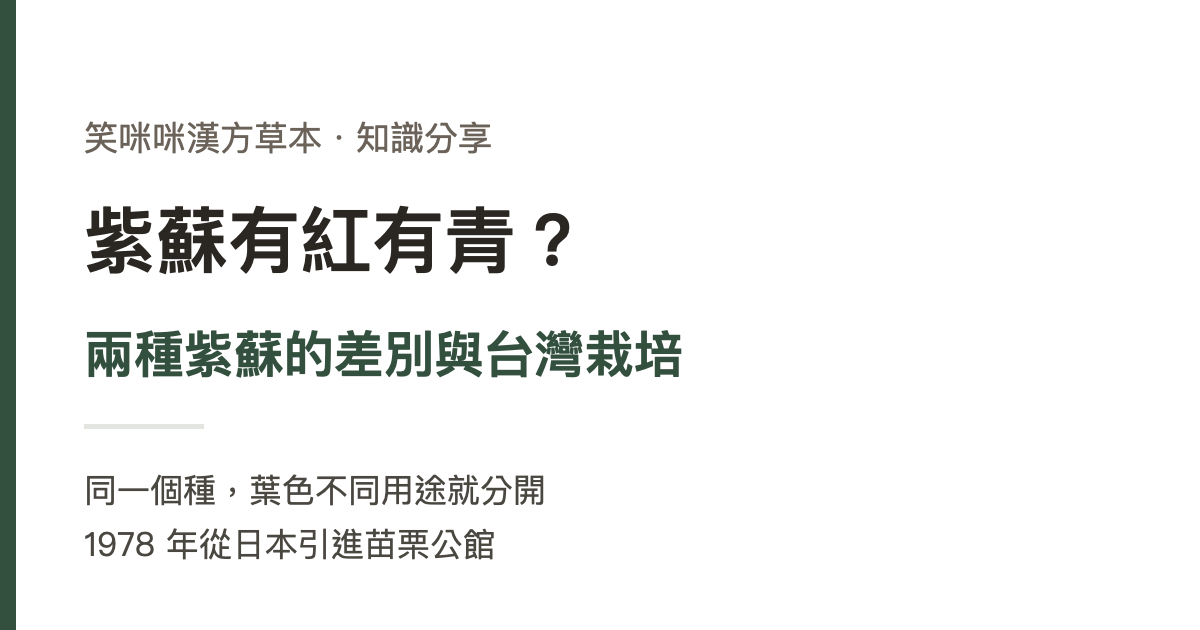 紫蘇有紅有青？兩種紫蘇的差別與台灣栽培
