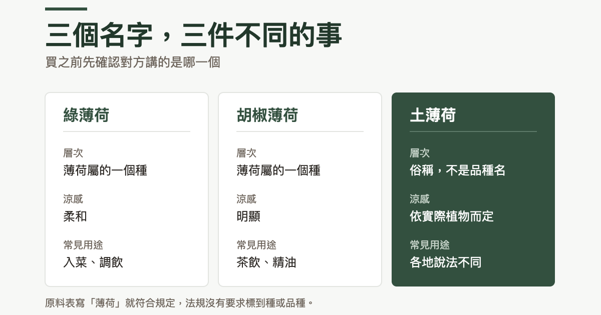 三欄對照：綠薄荷是薄荷屬的一個種，涼感柔和，常用於入菜調飲；胡椒薄荷是薄荷屬的一個種，涼感明顯，常用於茶飲精油；土薄荷是俗稱不是品種名，涼感依實際植物而定，各地說法不同