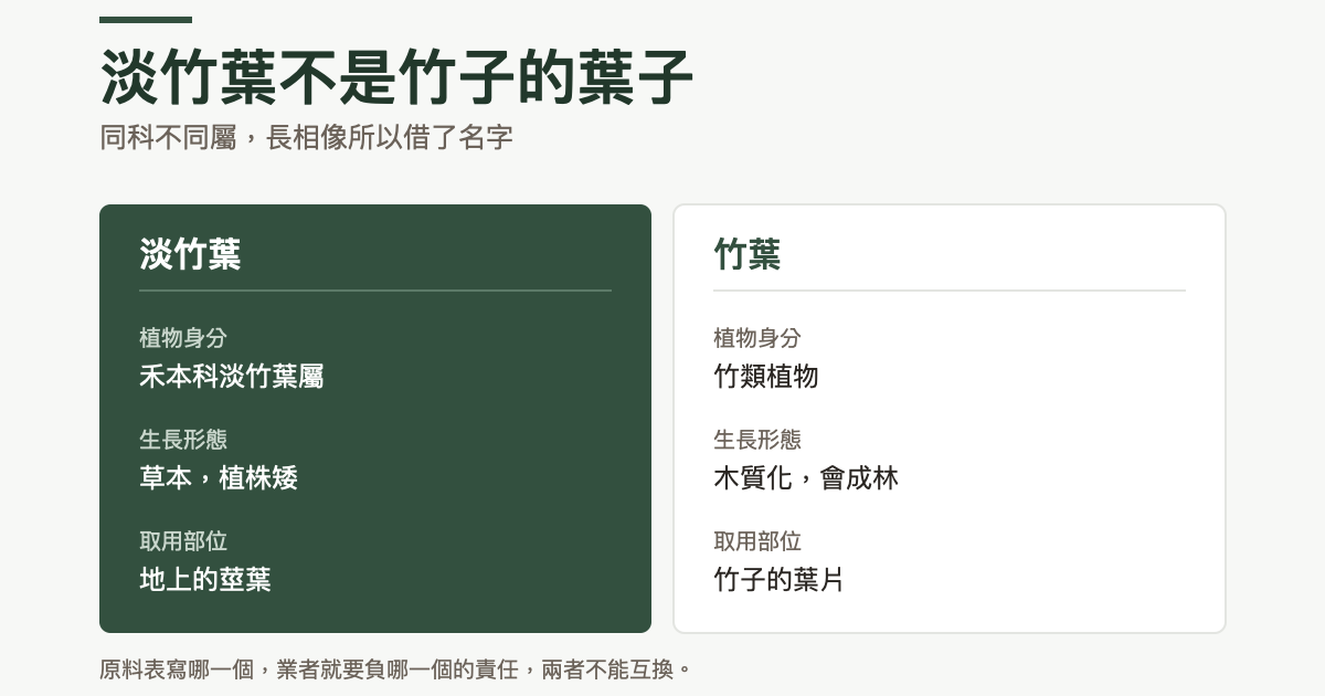 淡竹葉與竹葉的對照:淡竹葉是禾本科淡竹葉屬、草本且植株矮、取用地上的莖葉;竹葉來自竹類植物、木質化會成林、取用竹子的葉片