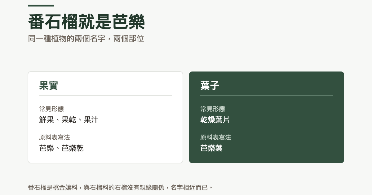 兩欄對照：果實的常見形態是鮮果、果乾、果汁，原料表寫成芭樂或芭樂乾；葉子的常見形態是乾燥葉片，原料表寫成芭樂葉