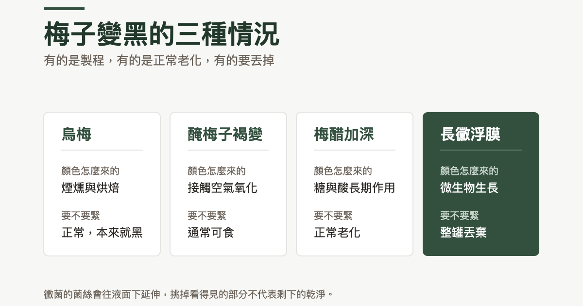四欄對照：烏梅的黑來自煙燻與烘焙，屬正常本來就黑；醃梅子褐變來自接觸空氣氧化，通常可食；梅醋加深來自糖與酸長期作用，屬正常老化；長黴浮膜來自微生物生長，應整罐丟棄