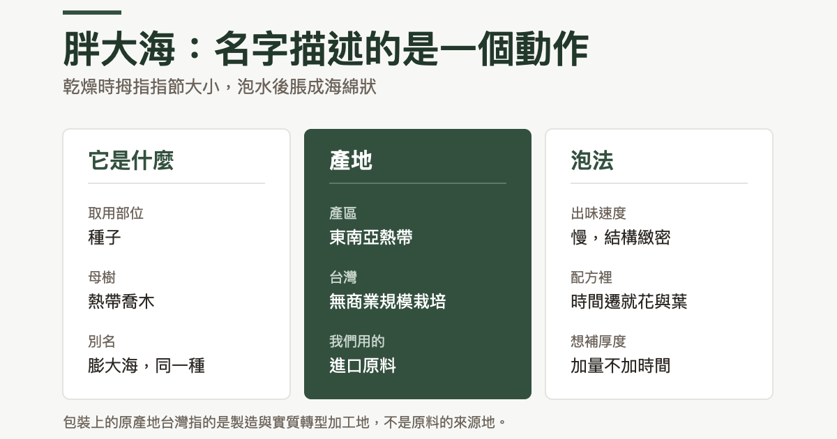 胖大海的三欄對照:它是什麼,取用部位是種子、母樹為熱帶喬木、別名膨大海是同一種;產地在東南亞熱帶,台灣無商業規模栽培,我們用的是進口原料;泡法上出味速度慢、配方裡時間遷就花與葉、想補厚度要加量不加時間